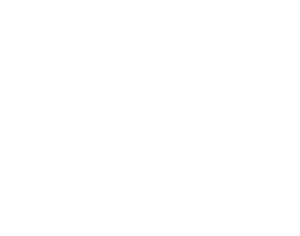 Lake Time Bookkeeping Logo - white